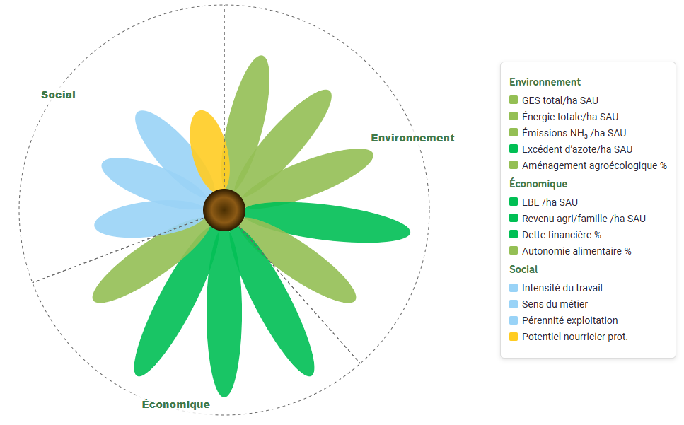 Exemple de fleur de la durabilité DECiDE